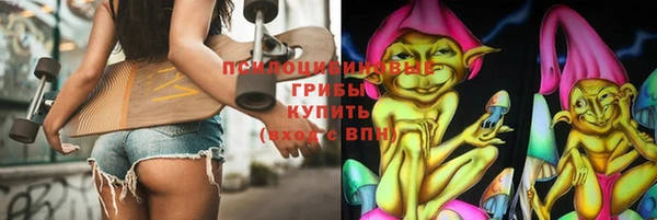 СК Надым