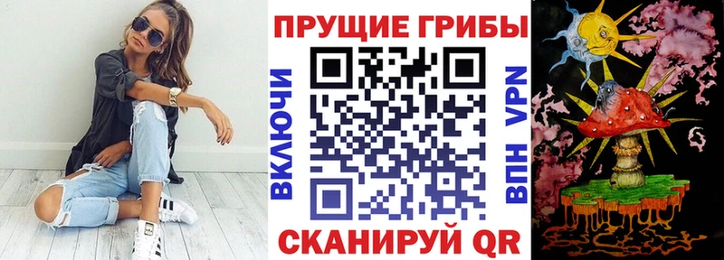 ссылка на мегу ССЫЛКА  Александровск  Псилоцибиновые грибы Psilocybine cubensis  закладки 